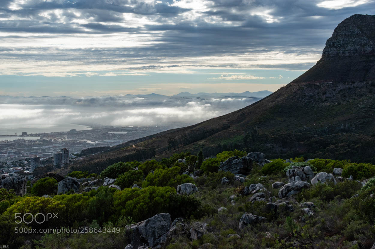 Nikon D5600 sample photo. Climbing table mountain photography