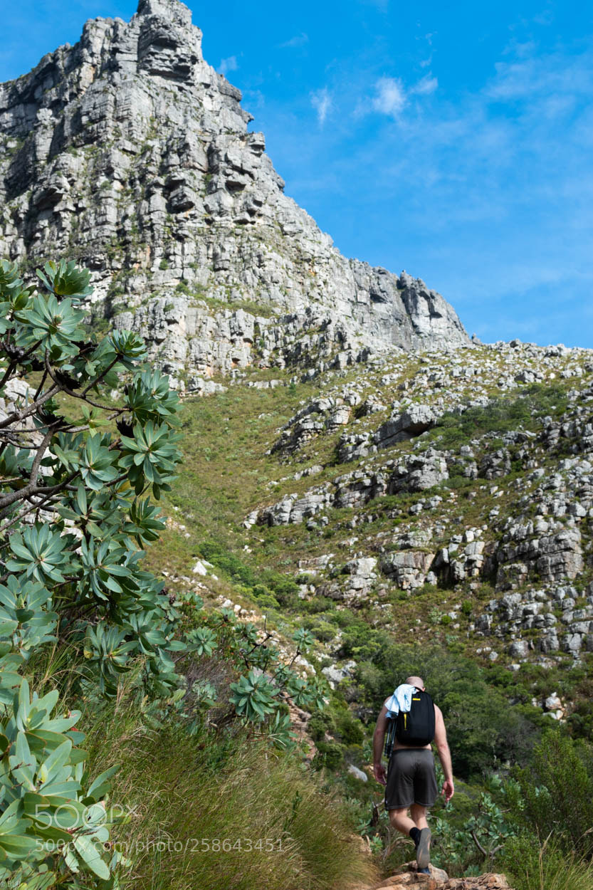 Nikon D5600 sample photo. Climbing table mountain photography