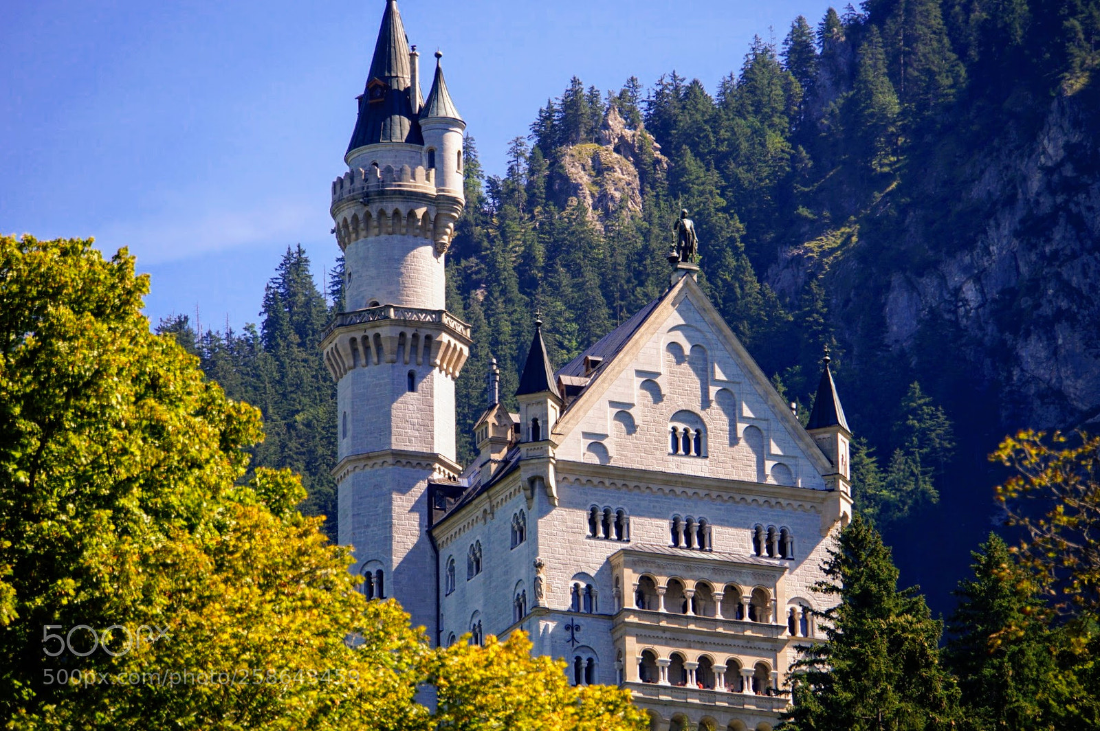 Sony a7 II sample photo. Neuschwanstein castle photography