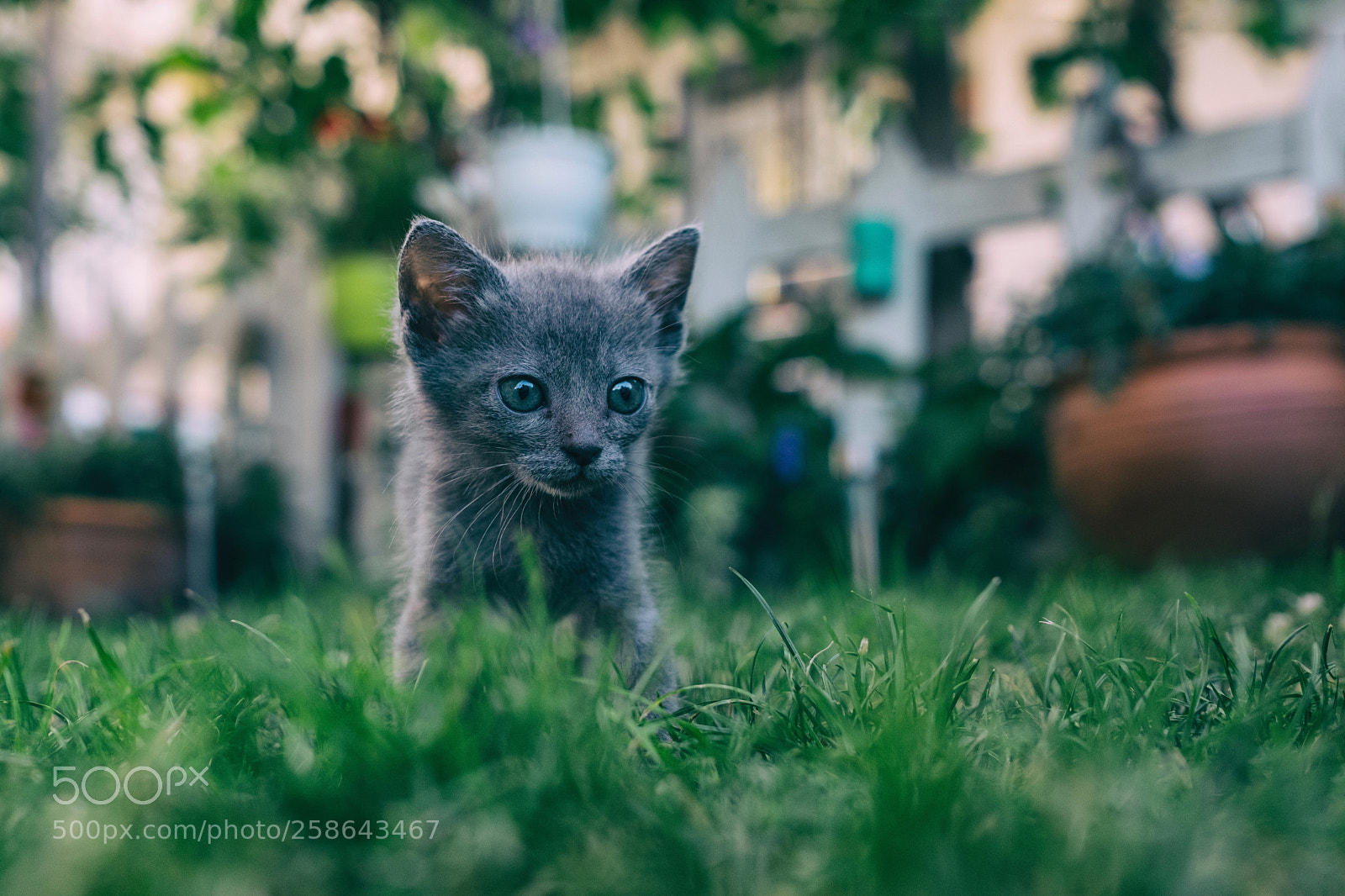 Fujifilm X-T2 sample photo. Untitled photography