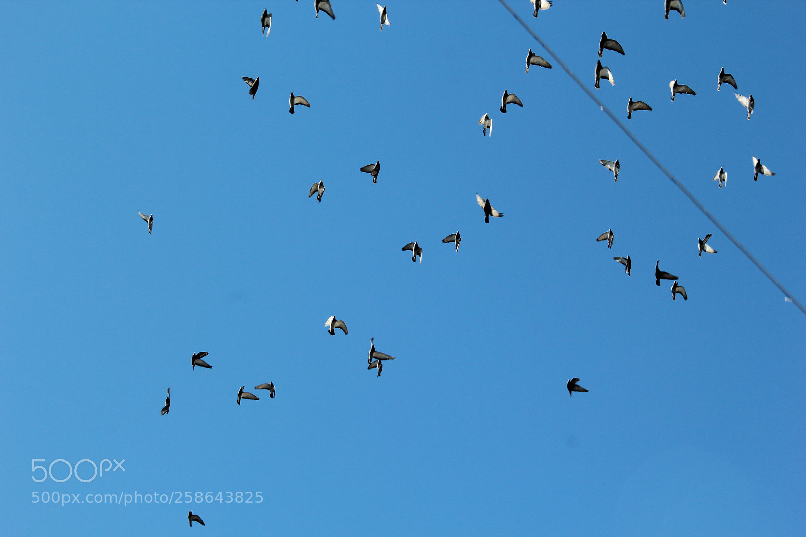 Canon EF-S 18-135mm F3.5-5.6 IS sample photo. Img photography