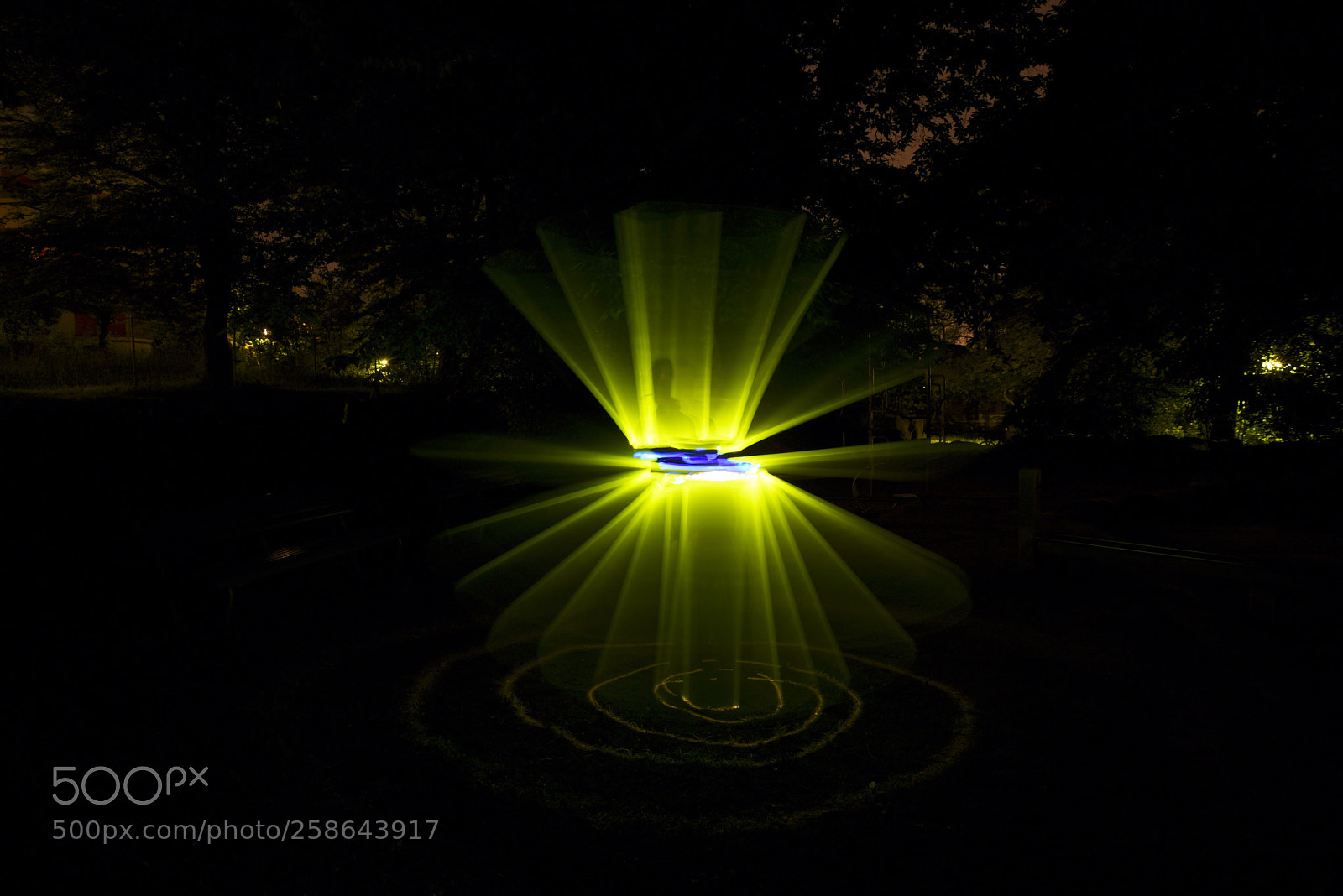 Nikon D750 sample photo. Untitled photography