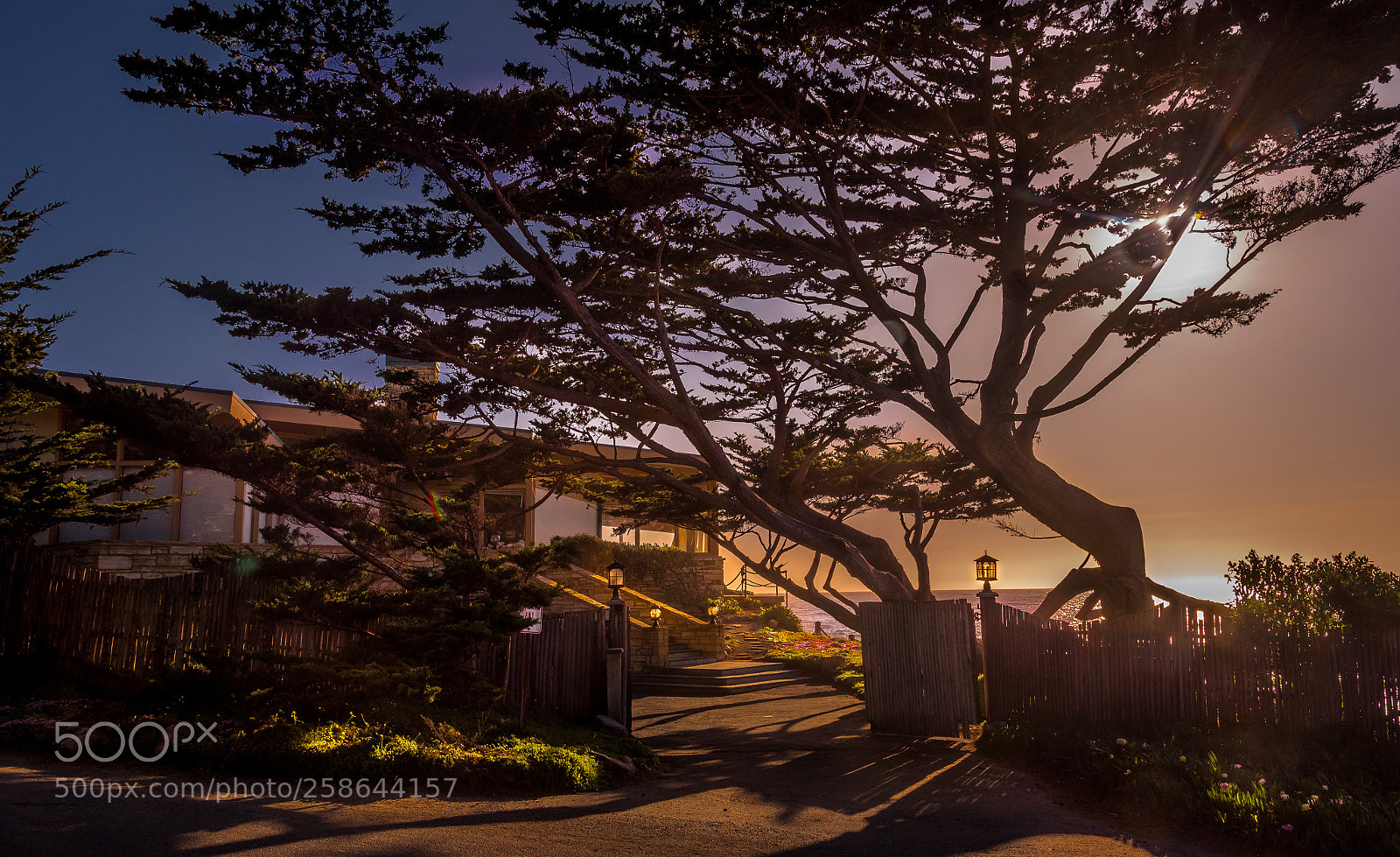 Nikon D750 sample photo. Spring in carmel photography