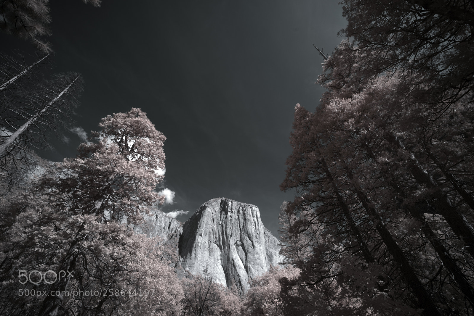 Sony a7R sample photo. El capitan photography