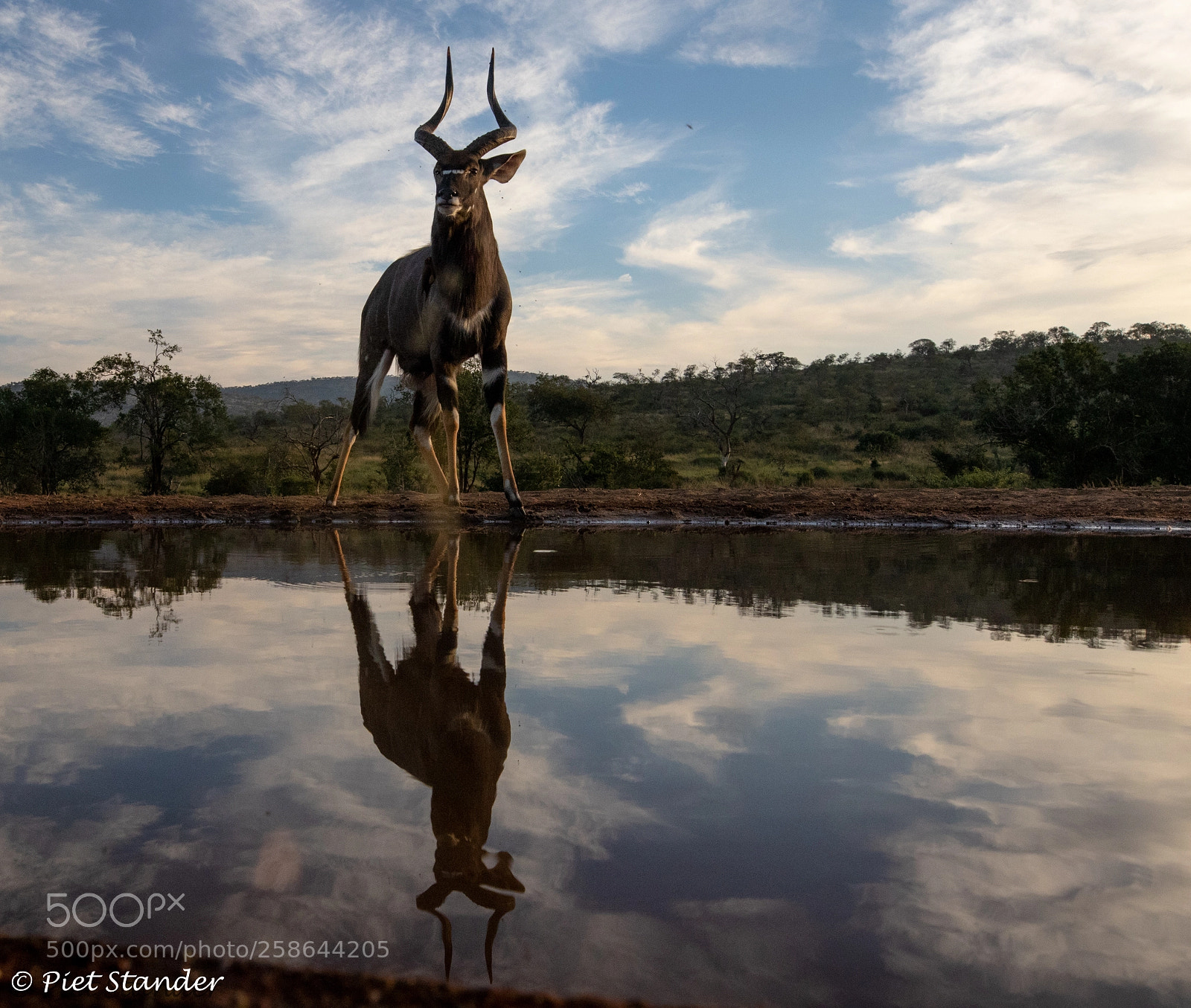 Canon EOS 7D Mark II sample photo. Reflection photography
