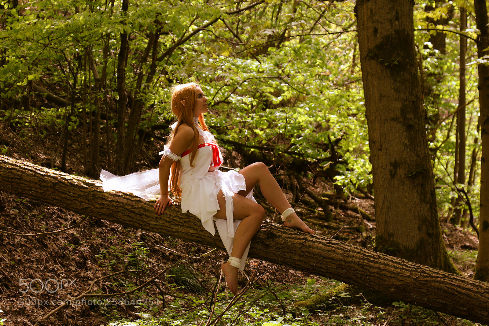 Canon EOS 7D Mark II sample photo. Asuna 11 photography