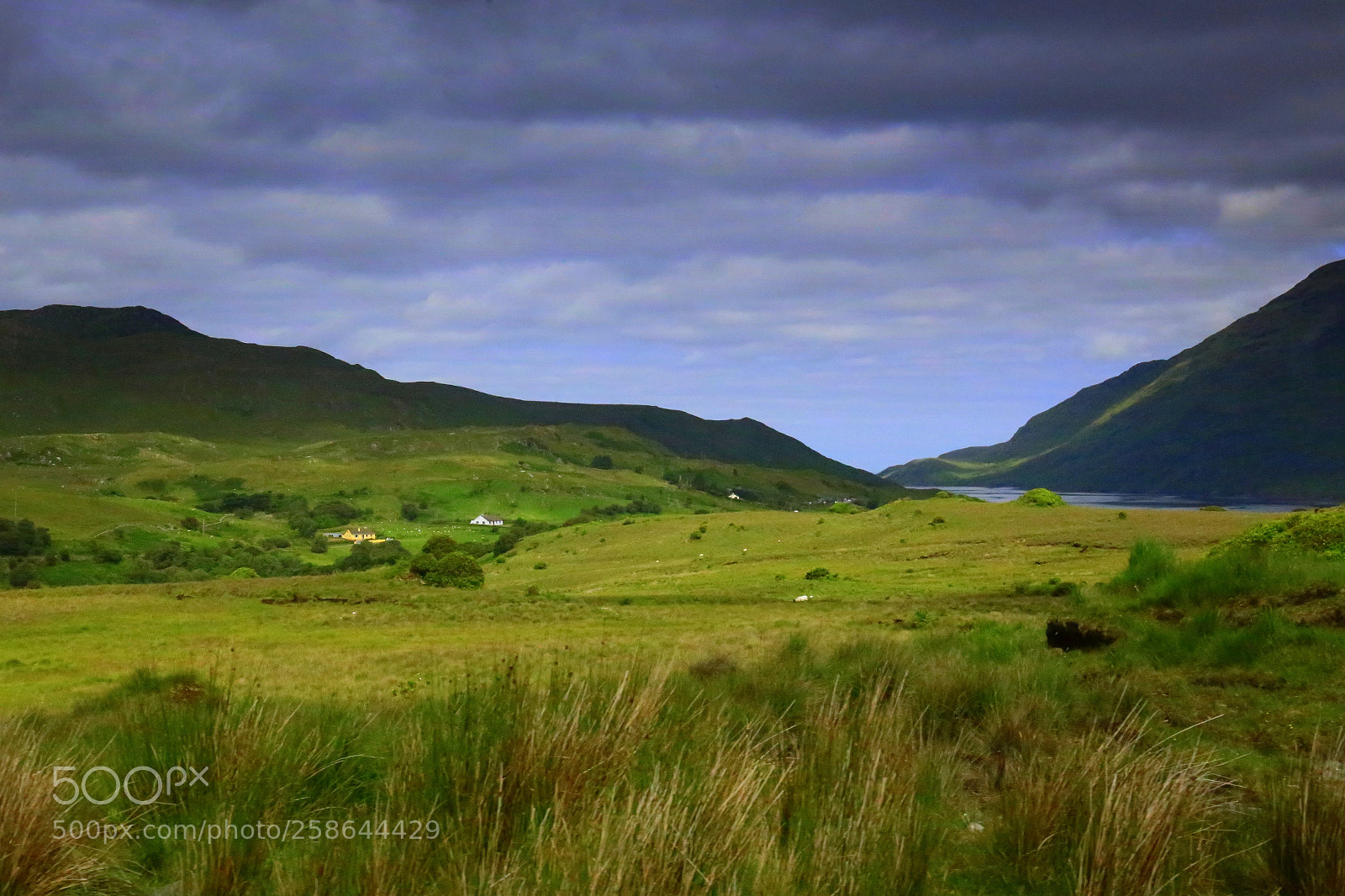 Canon EF 24-70mm F4L IS USM sample photo. Ireland photography