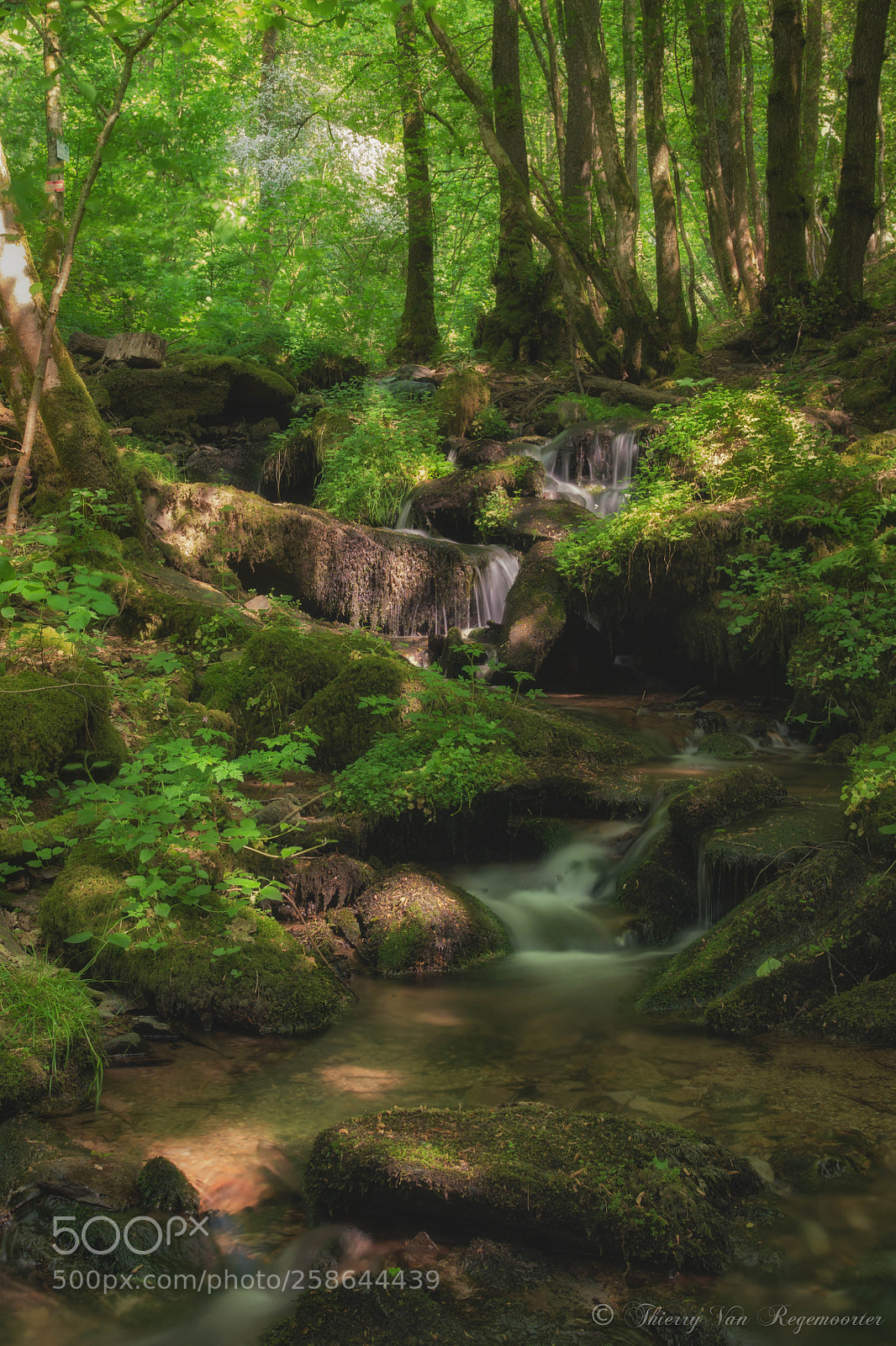 Nikon D7100 sample photo. Cascade à daverdisse photography