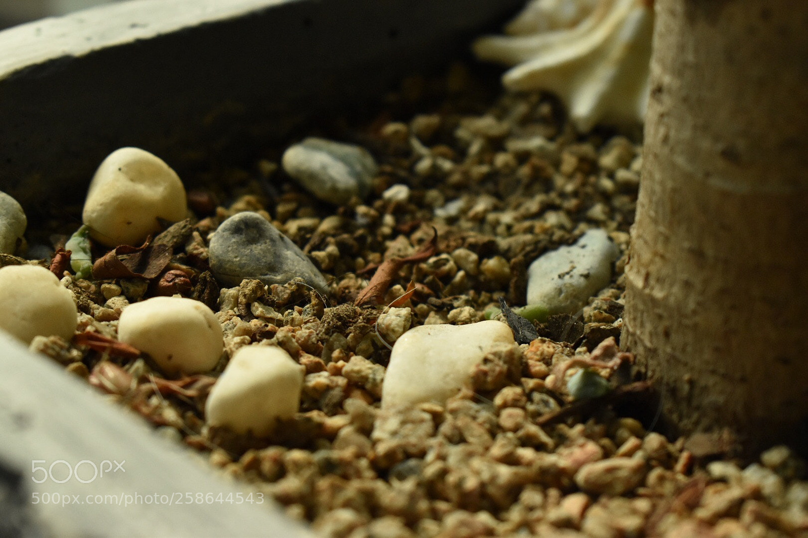 Nikon D5600 sample photo. Untitled photography