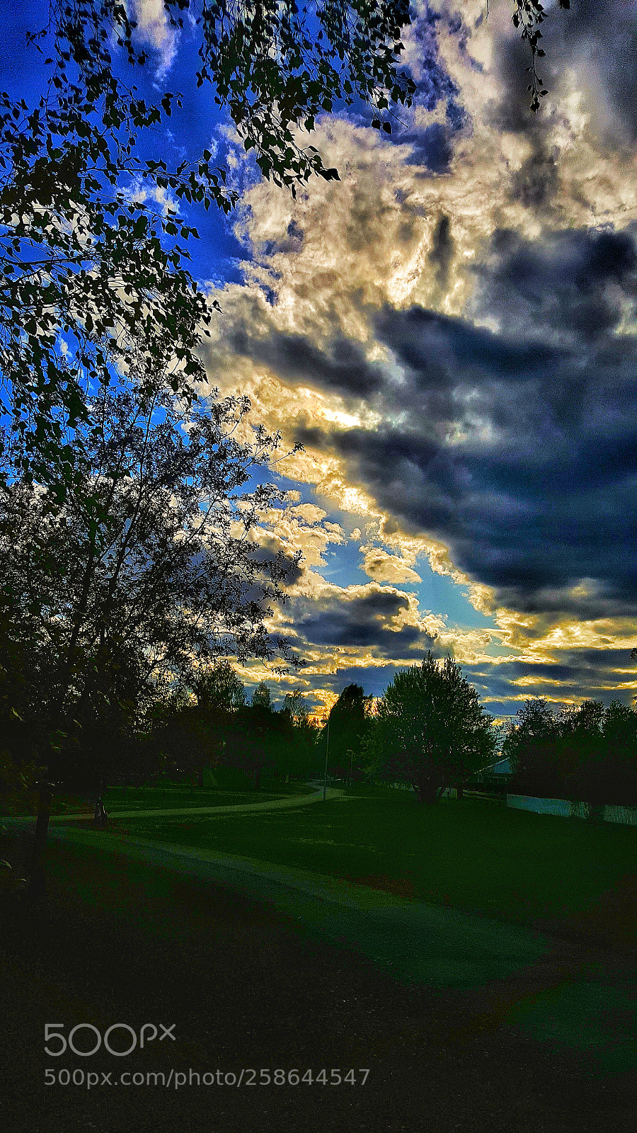 Samsung Galaxy S6 sample photo. The rain is coming photography