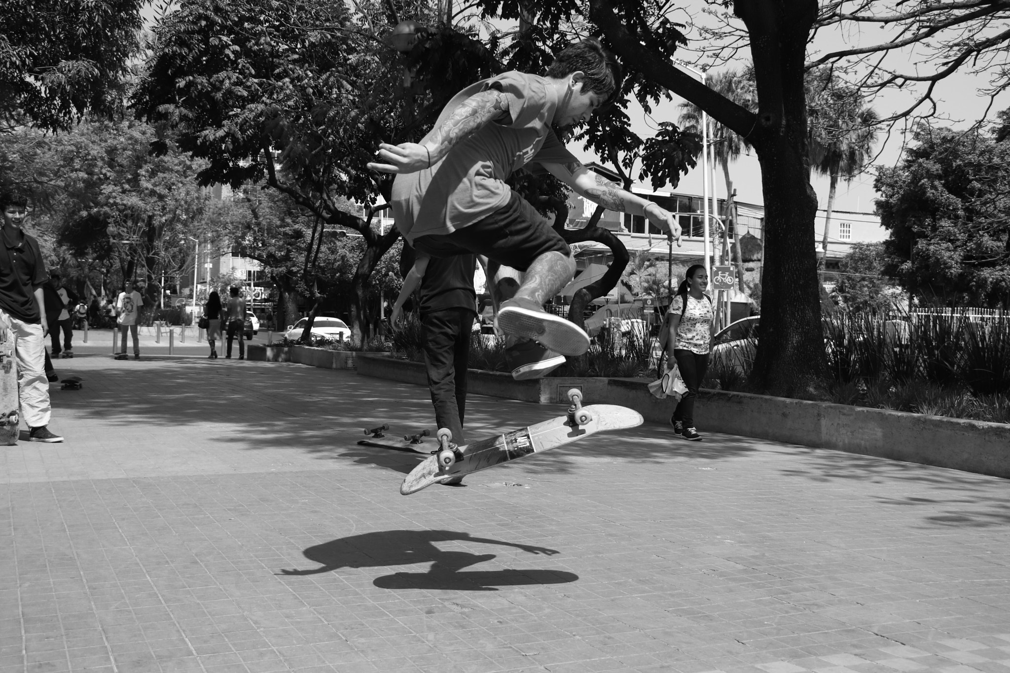 Canon EOS 800D (EOS Rebel T7i / EOS Kiss X9i) sample photo. Passion photography