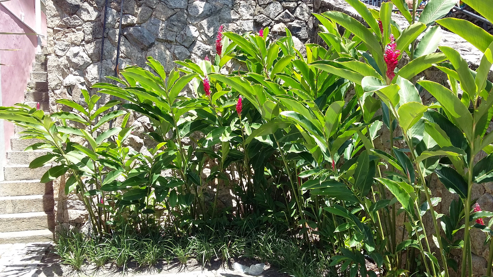 Samsung Galaxy A3 sample photo. O o photography