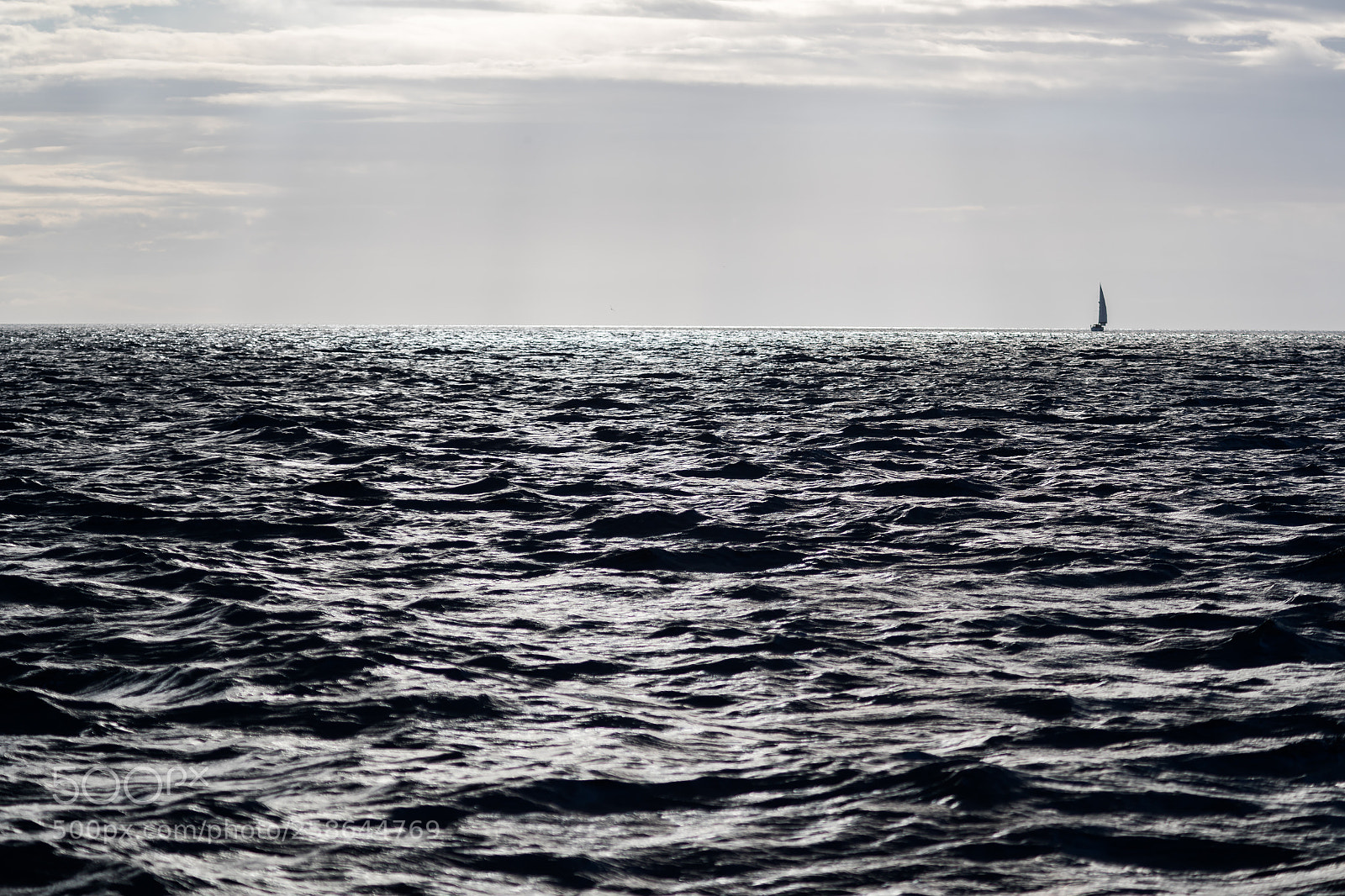 Canon EOS-1D X Mark II sample photo. I photography