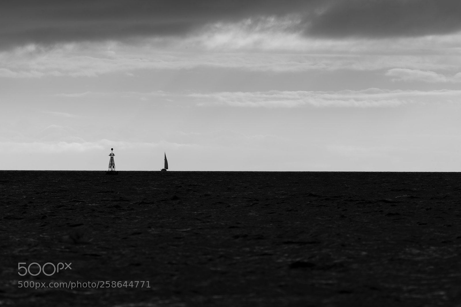 Canon EOS-1D X Mark II sample photo. _68i5787-2.jpg photography