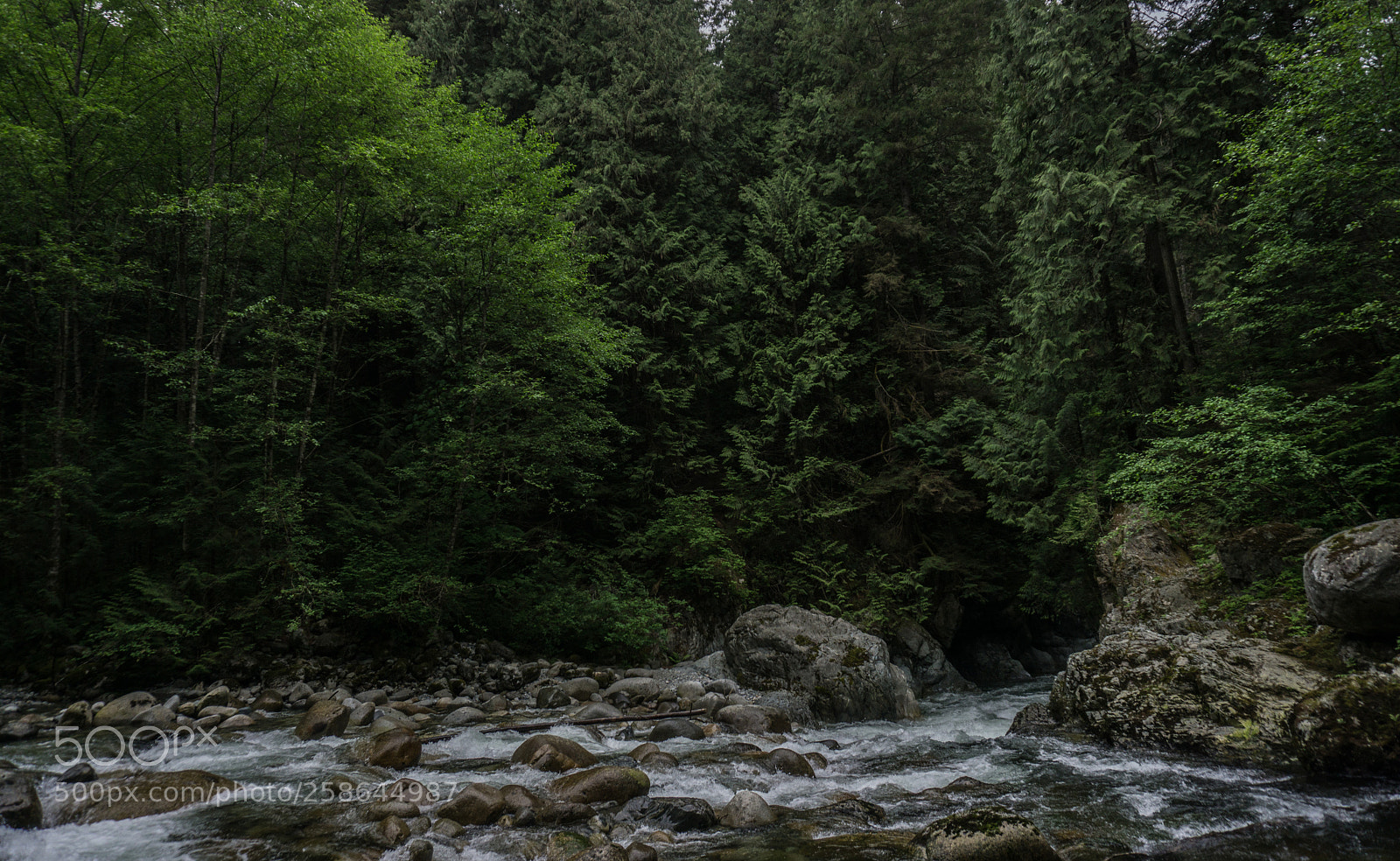 Sony a6000 sample photo. The river photography