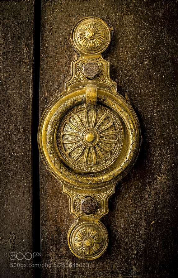 Nikon D5300 sample photo. Door decoration photography