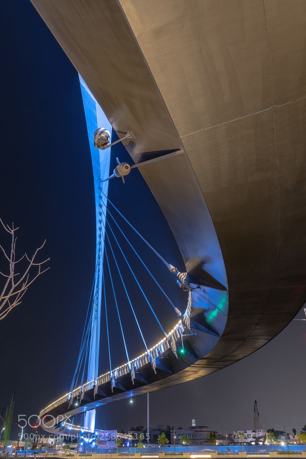 Nikon D5600 sample photo. Tolerance bridge photography