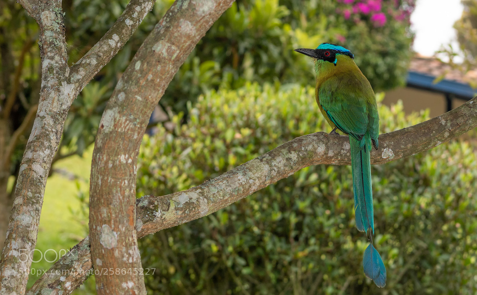 Canon EOS 750D (EOS Rebel T6i / EOS Kiss X8i) sample photo. Soledad photography