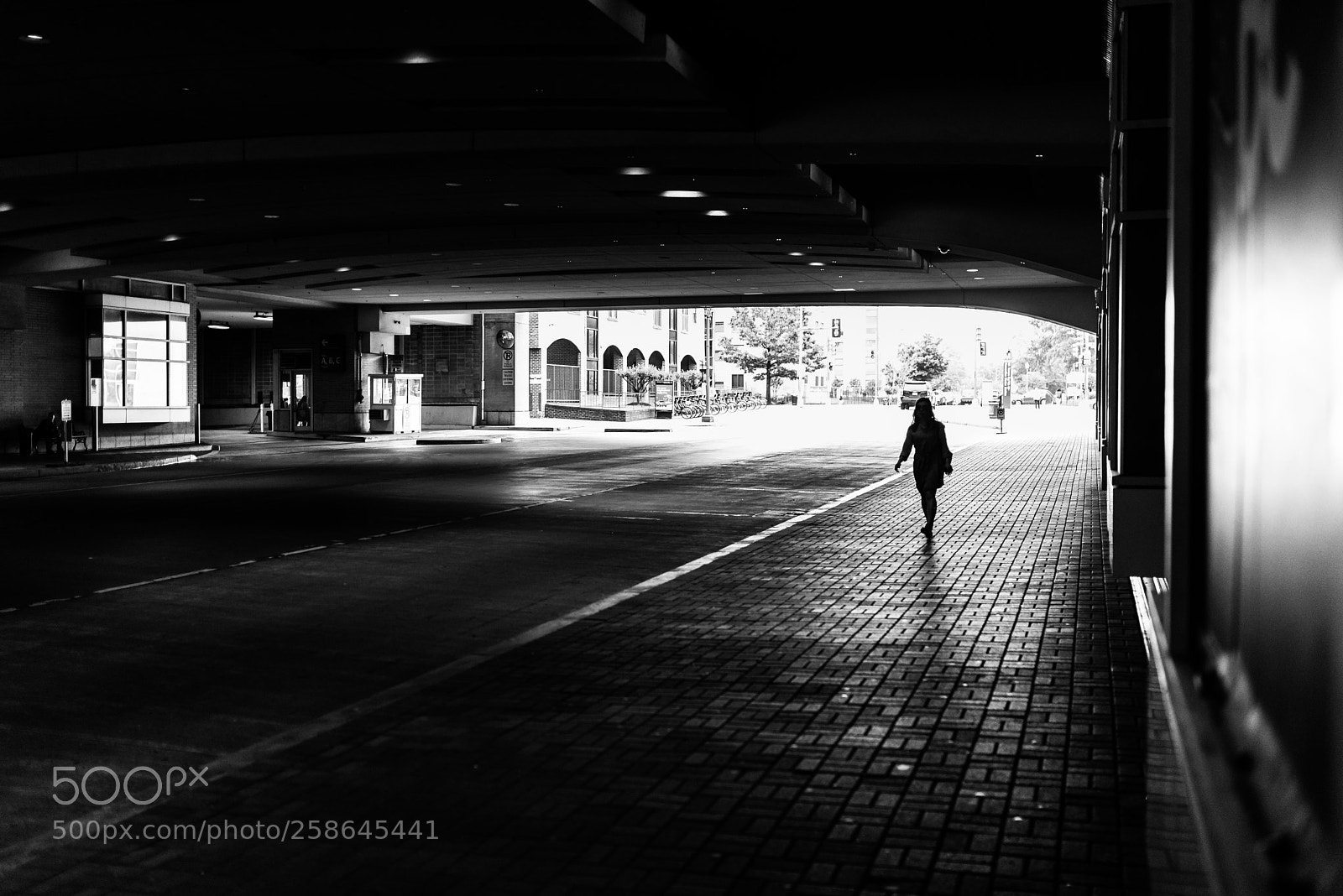 Nikon D750 sample photo. Walk this way photography