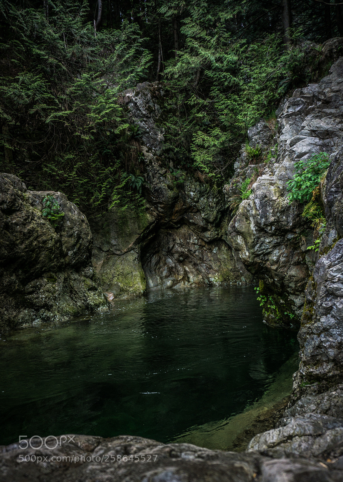 Sony a6000 sample photo. Lynn valley photography