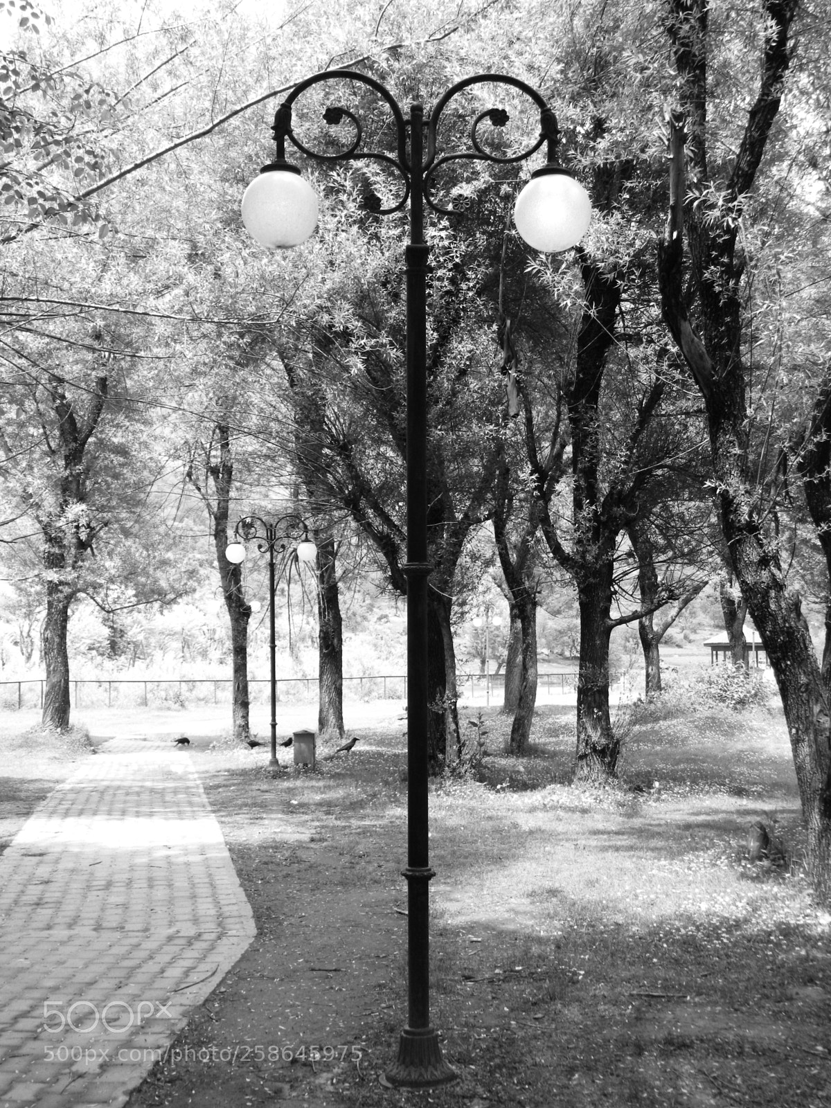 Nikon Coolpix L120 sample photo. Bw lamp photography