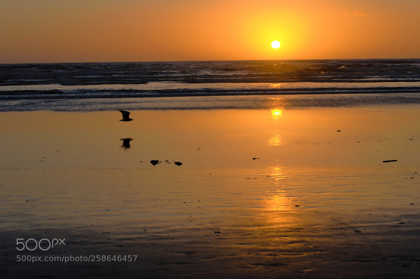 Nikon D3200 sample photo. Sunset at seaside photography