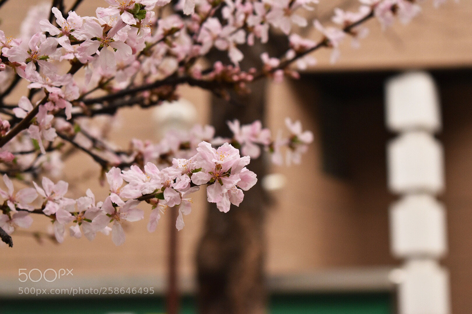 Nikon D5600 sample photo. Untitled photography