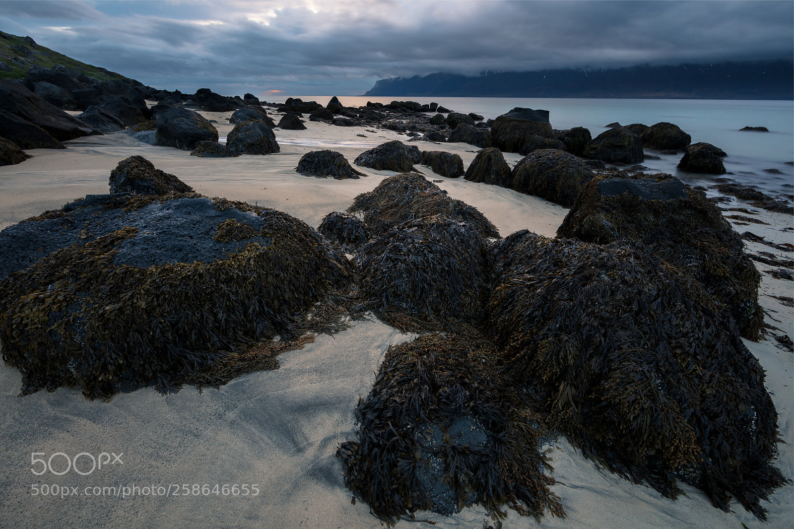 Canon EOS 5DS R sample photo. Jaedit flat photography