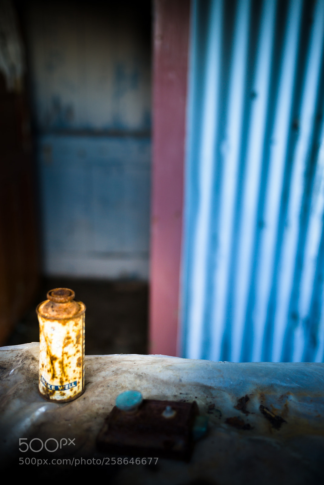 Leica M (Typ 240) sample photo. L photography