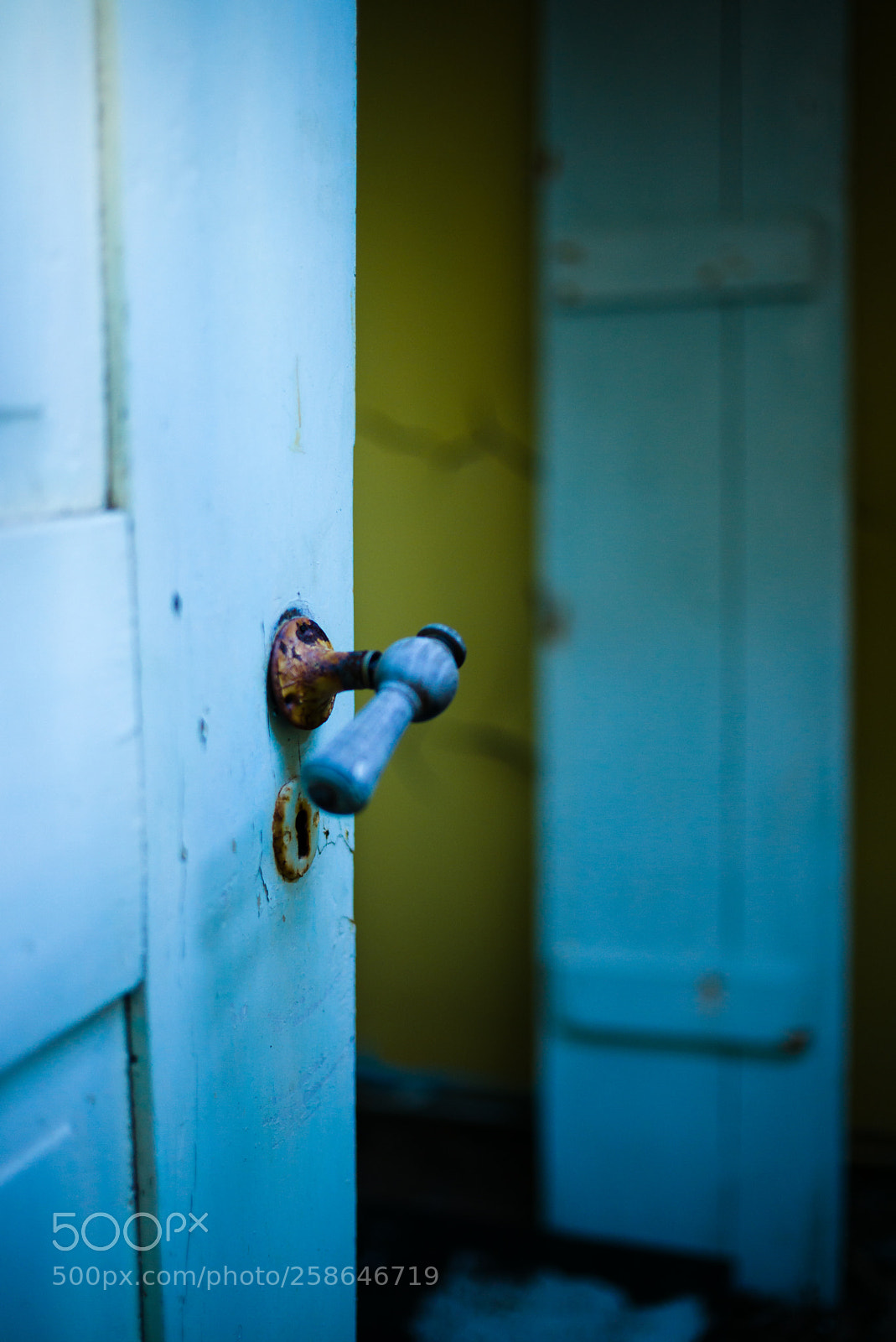 Leica M (Typ 240) sample photo. L photography