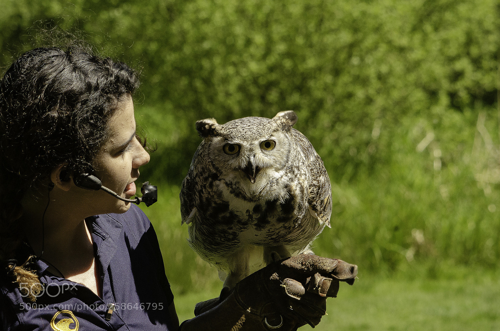 Nikon D7000 sample photo. Raptors on the prowl photography
