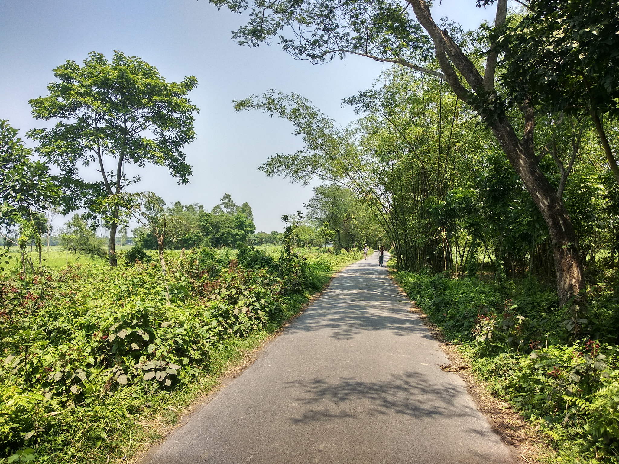 Xiaomi Redmi 5 Plus sample photo