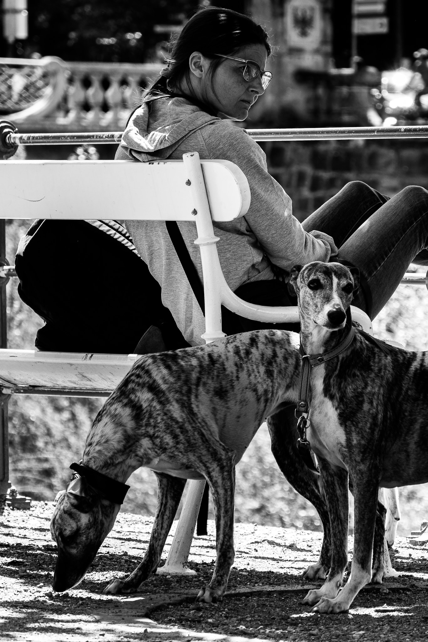 Nikon 1 J5 sample photo. ***** photography