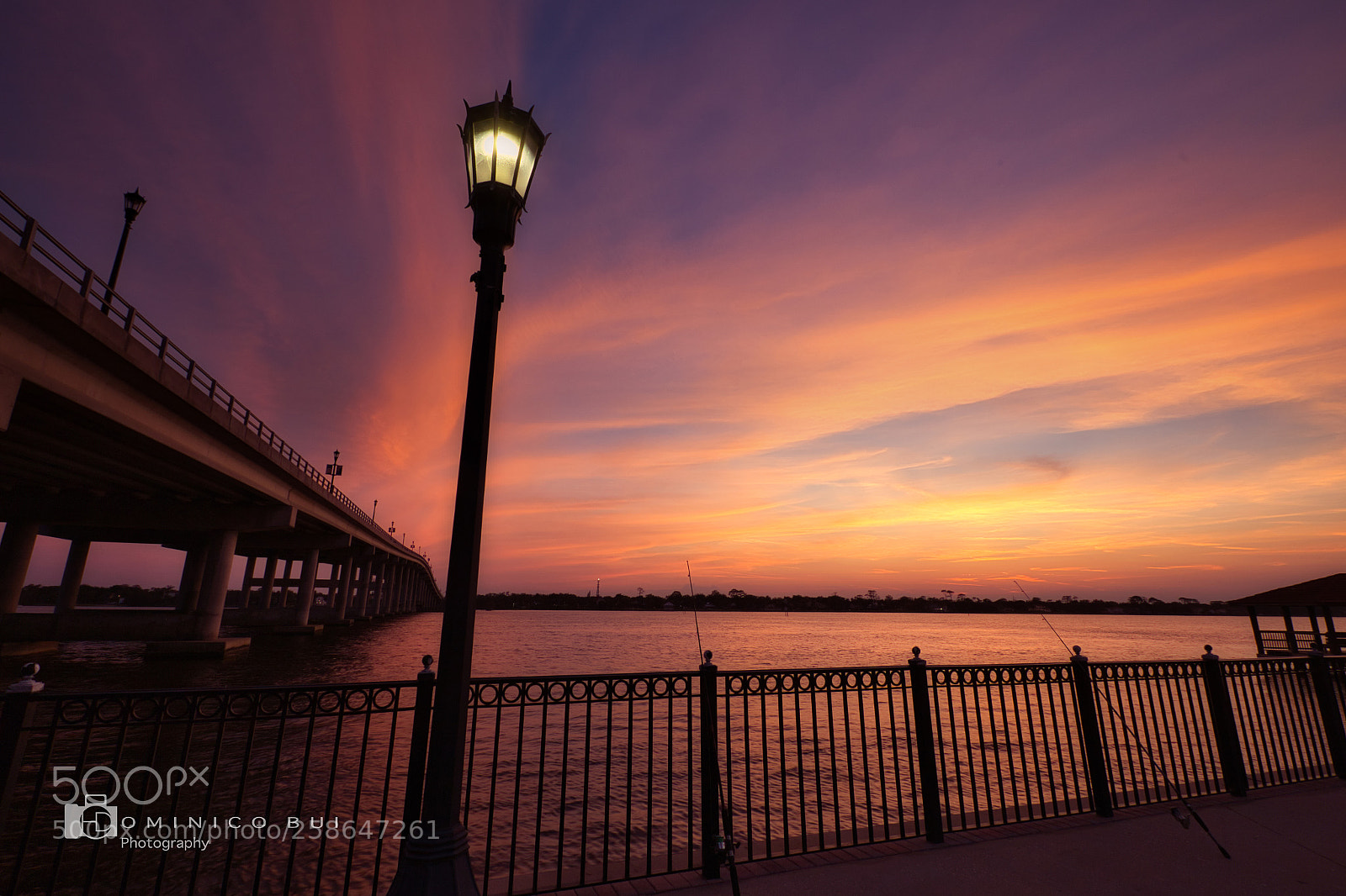 Canon EOS 6D sample photo. Mg photography
