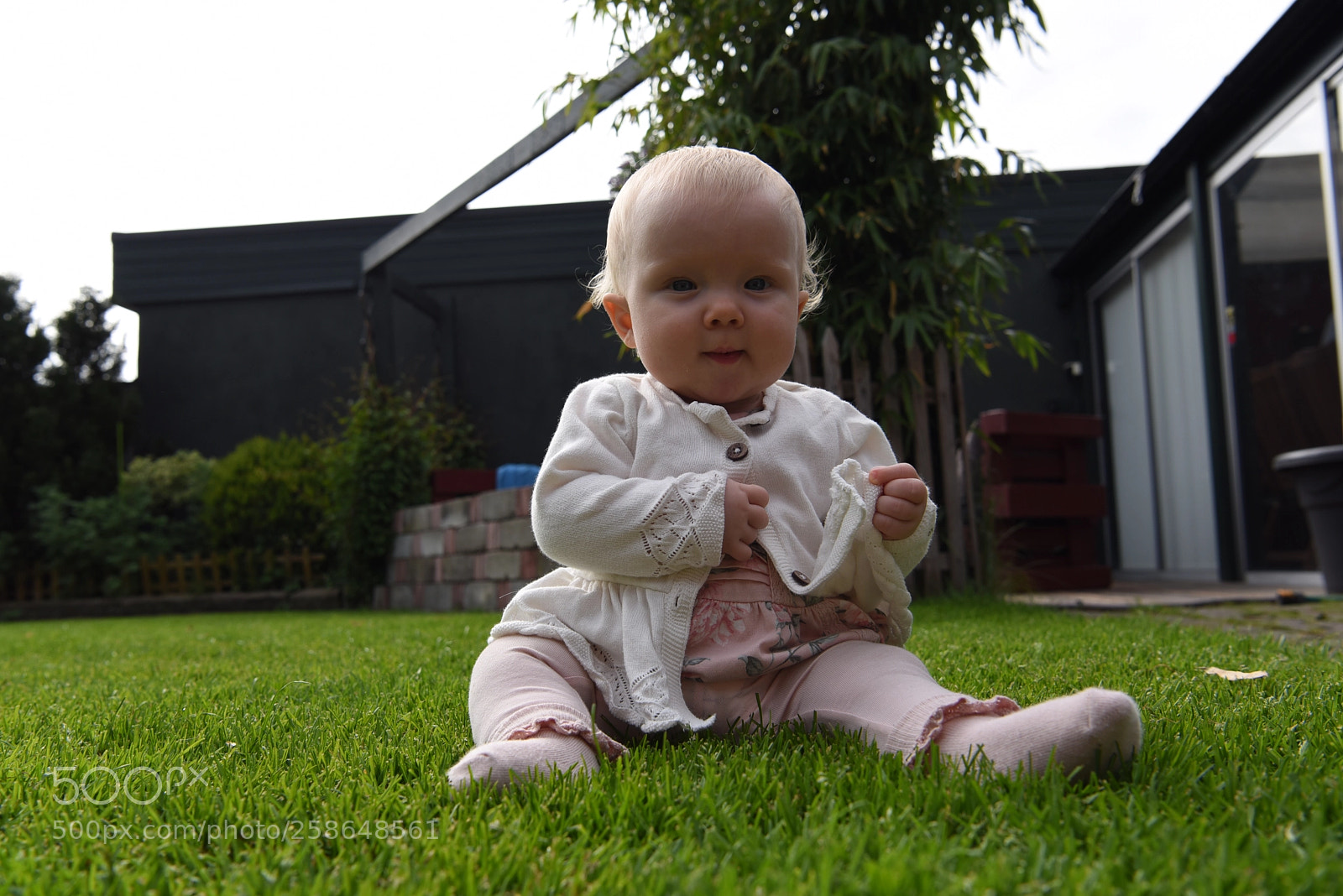 Nikon D750 sample photo. Little human  photography