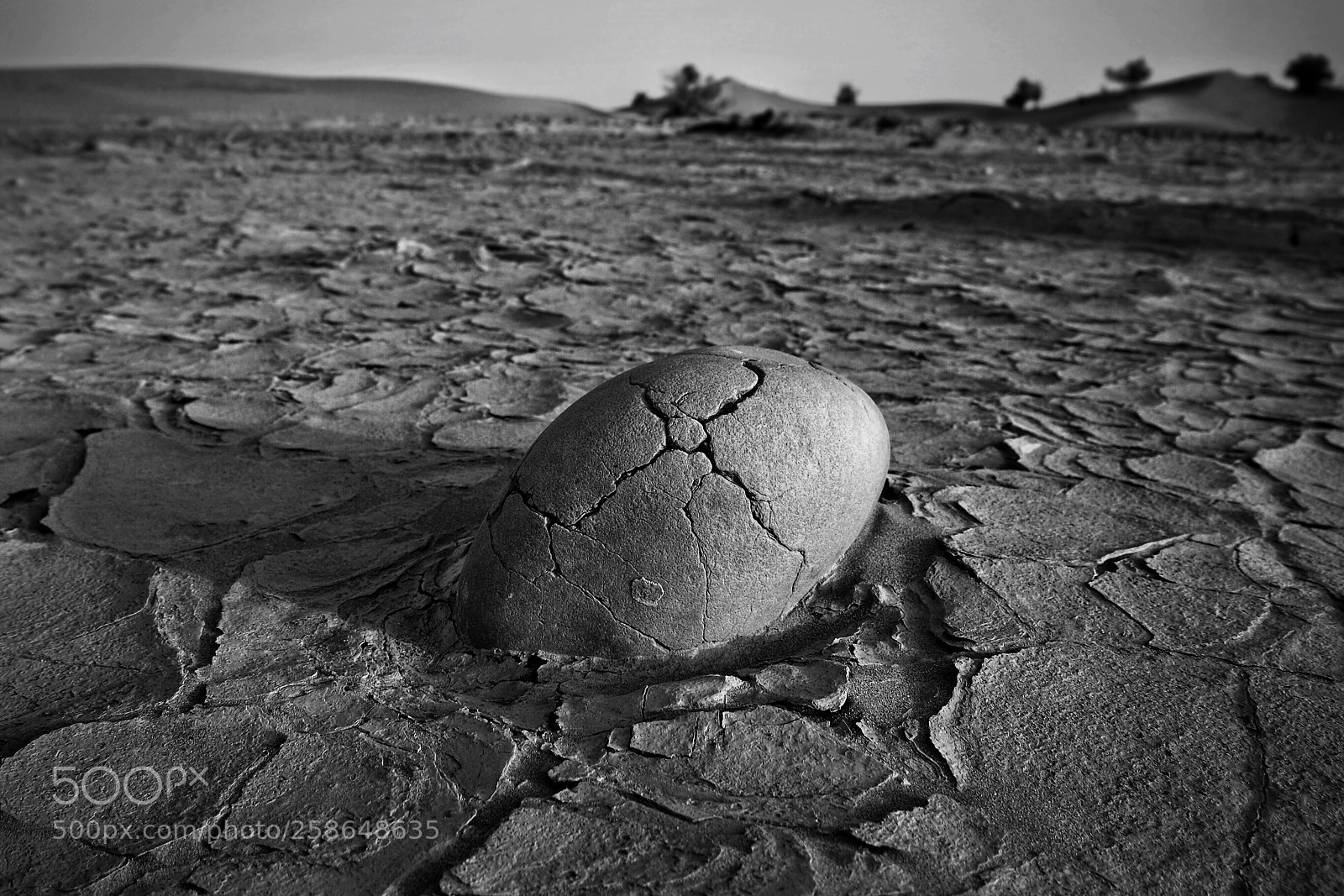 Fujifilm X-T1 sample photo. Dino egg photography