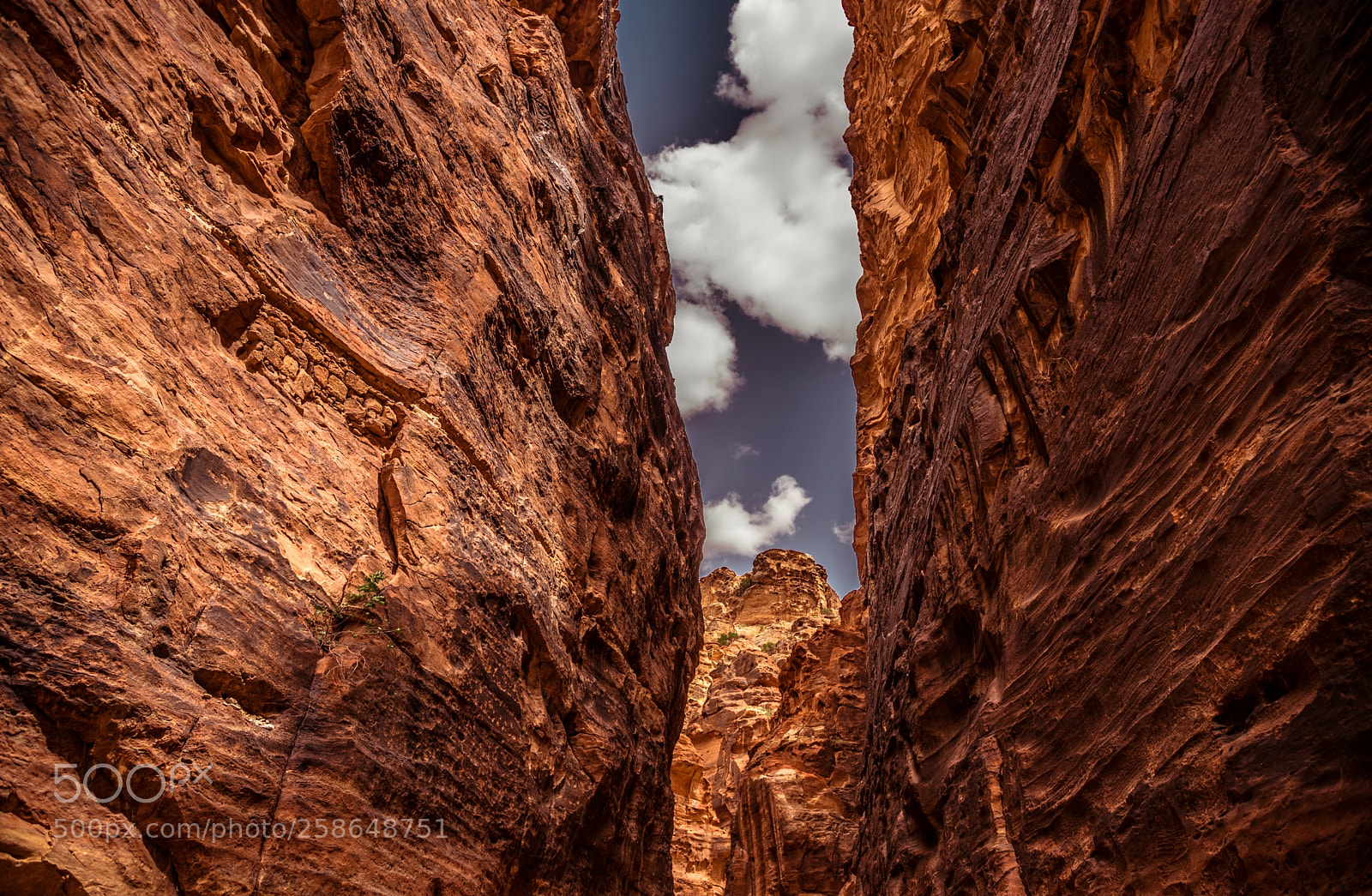 Nikon D750 sample photo. Petra, jordan photography