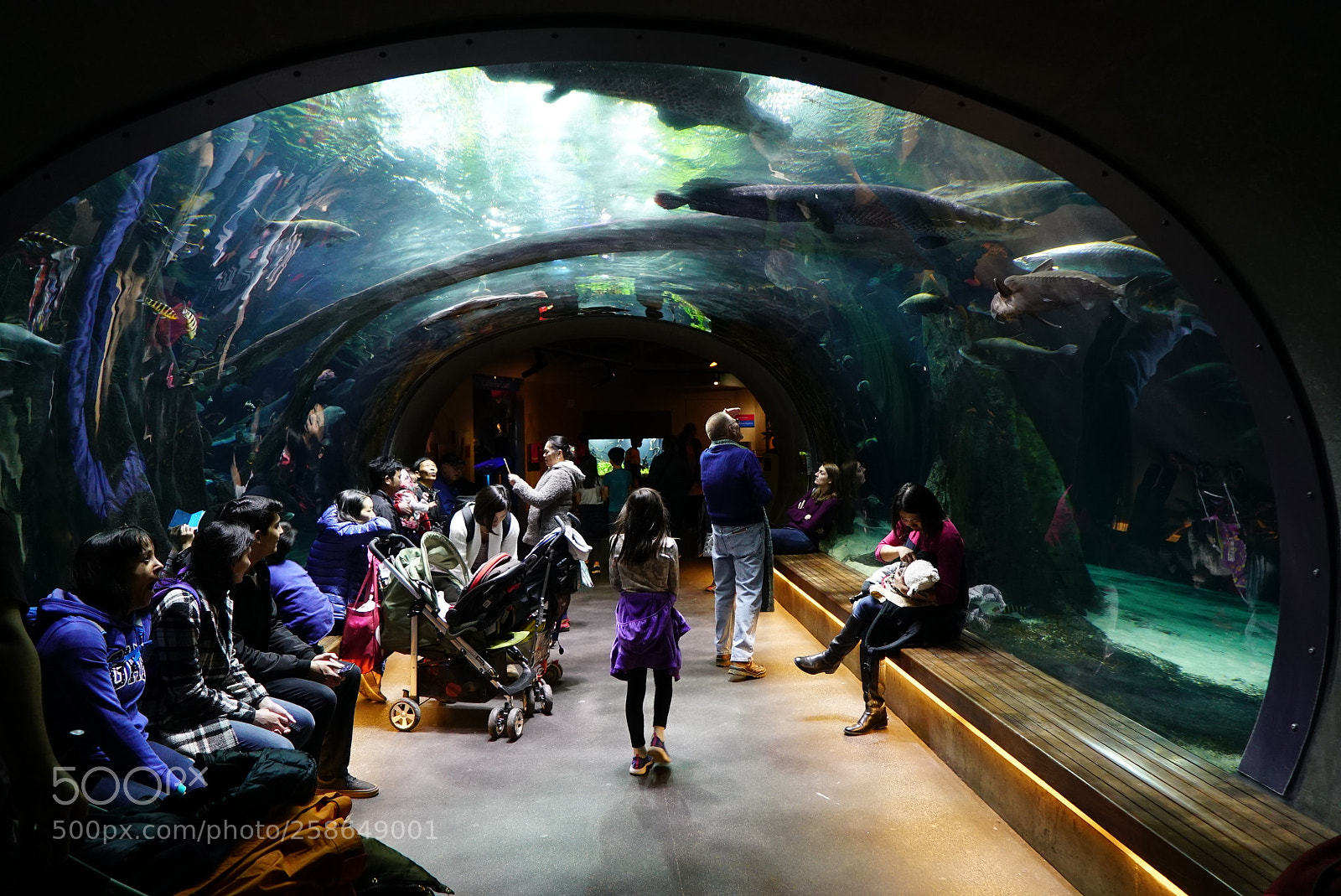Sony a7S II sample photo. Underwater tunnel photography