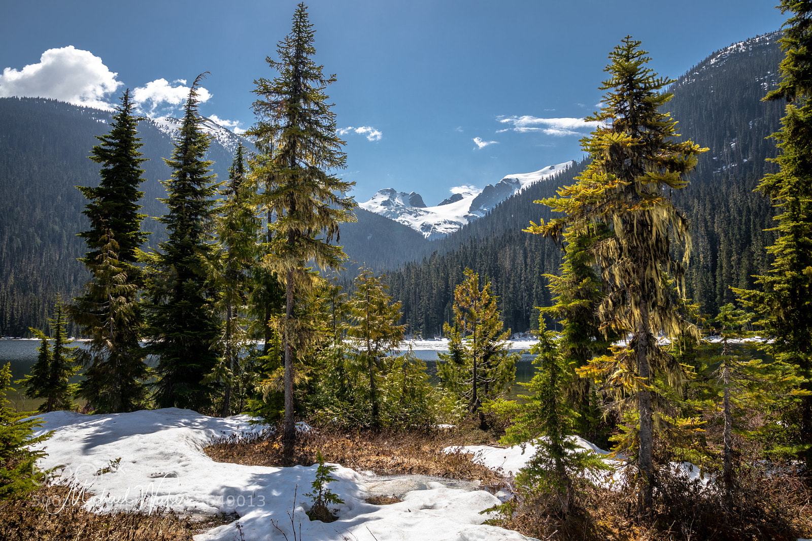 Canon EOS 5D Mark IV sample photo. Lower joffre lake photography