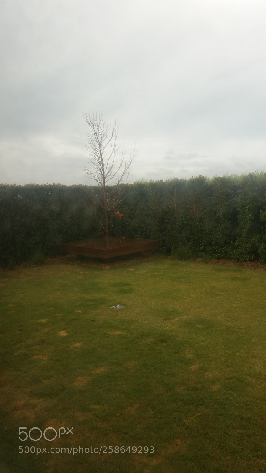 Samsung Galaxy S5 sample photo. Untitled photography