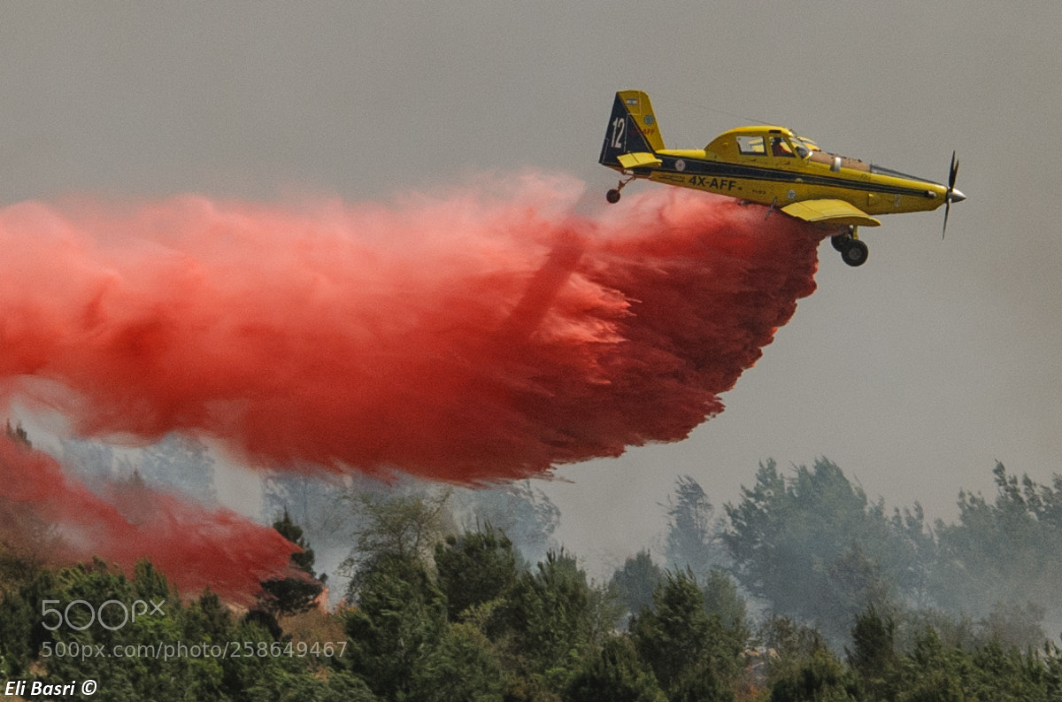 Nikon D300S sample photo. Against the fire photography