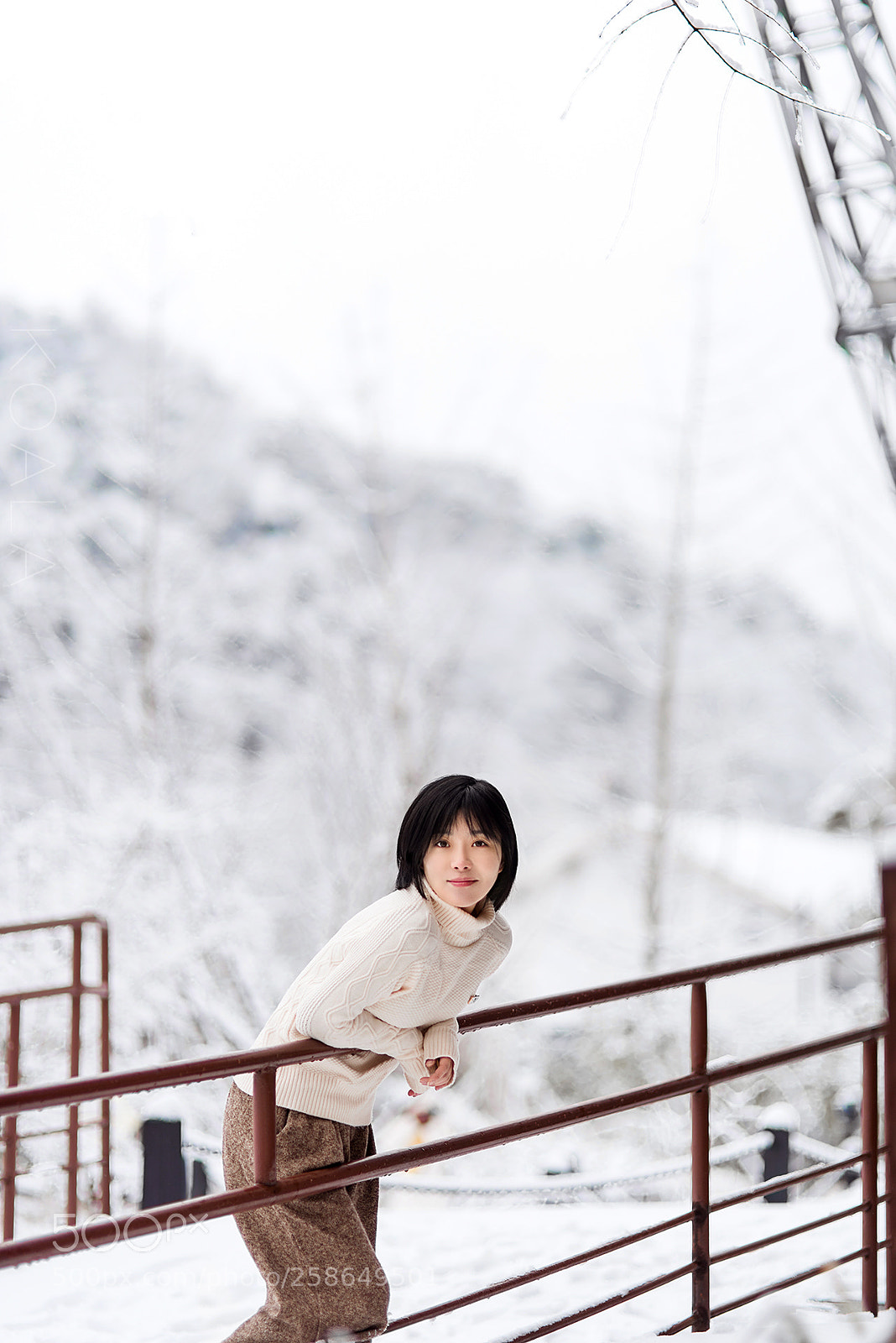 Nikon D810 sample photo. 柔软 photography