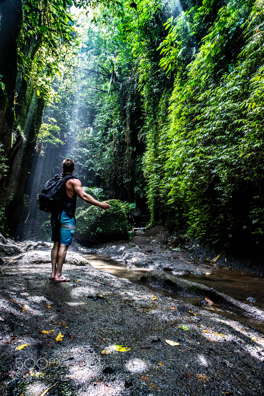 Canon EOS 6D Mark II sample photo. Jungle dreams photography