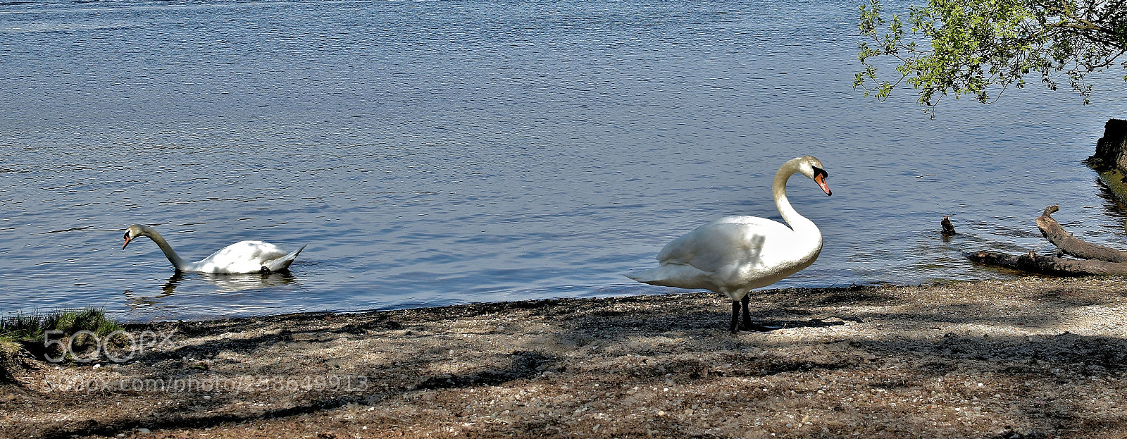 Nikon D5500 sample photo. Balloch 1 photography