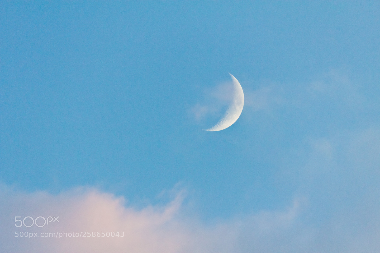 Canon EOS 60D sample photo. Yesterday evening, photography