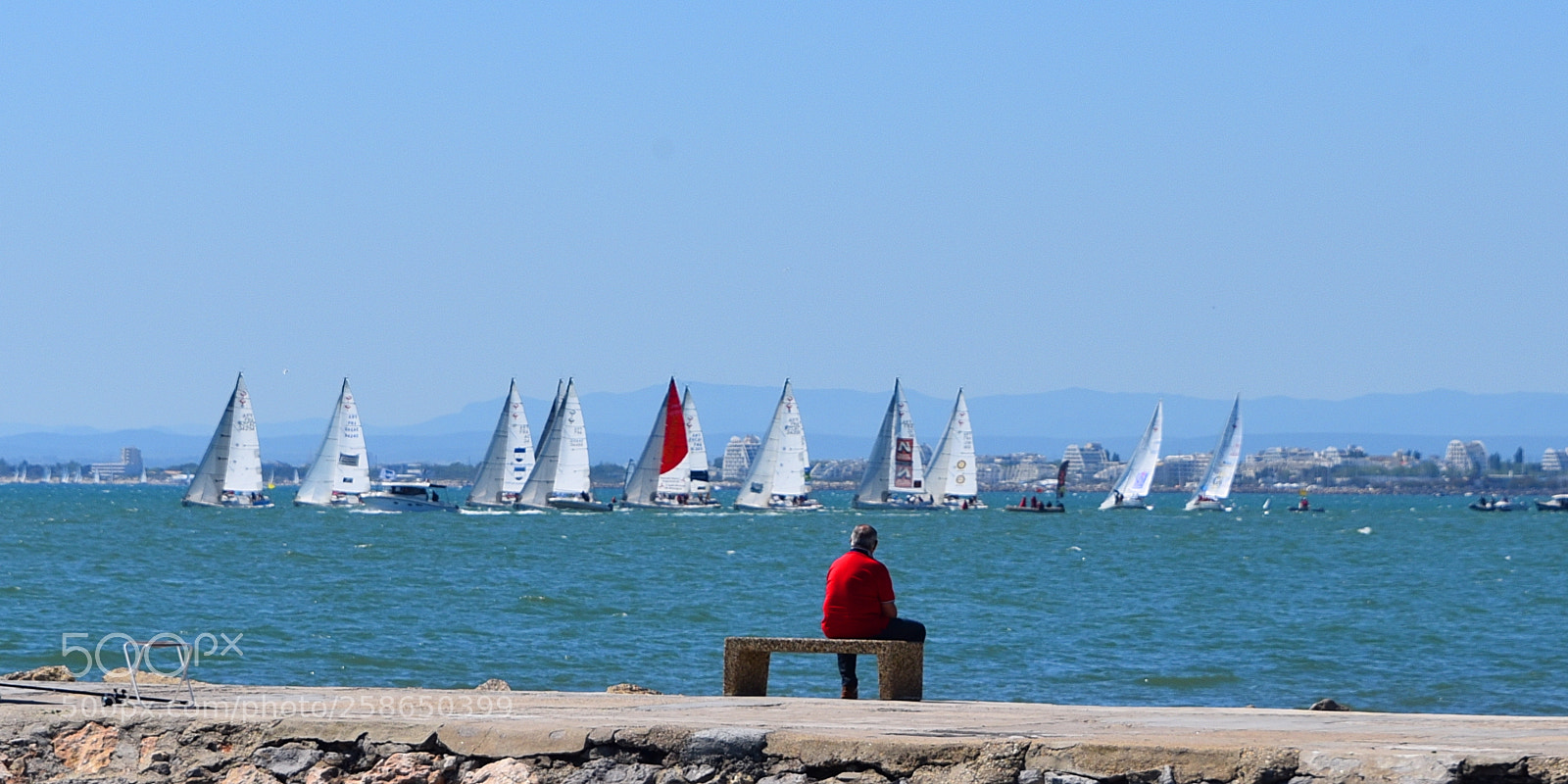 Nikon D750 sample photo. The spectator photography