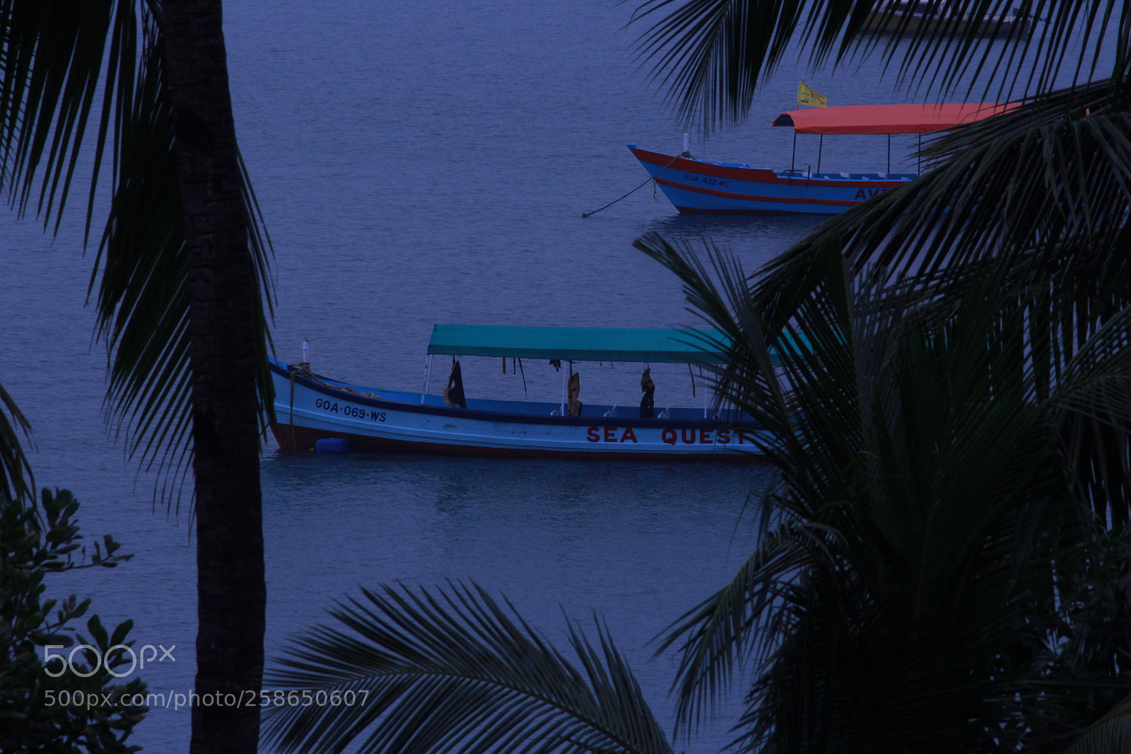 Canon EF-S 55-250mm F4-5.6 IS II sample photo. Img photography