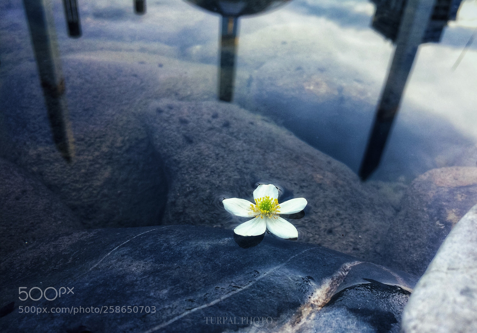Apple iPhone 5s sample photo. Argun  photography
