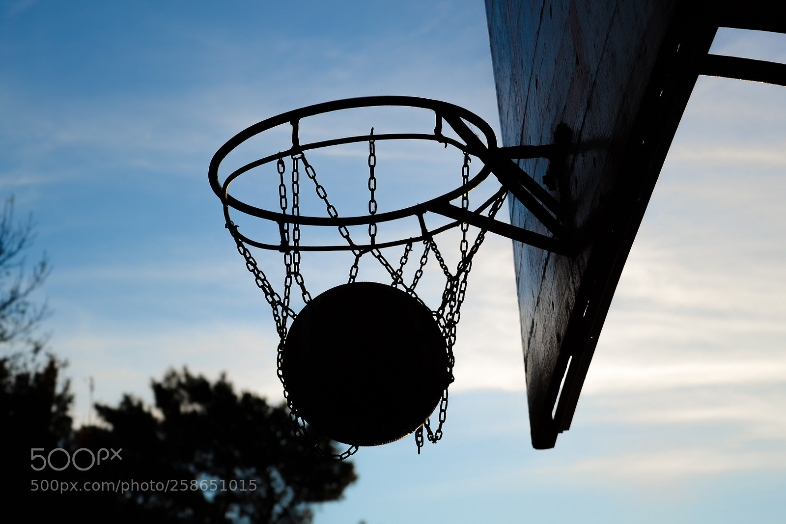 Nikon D3100 sample photo. Black and blue photography