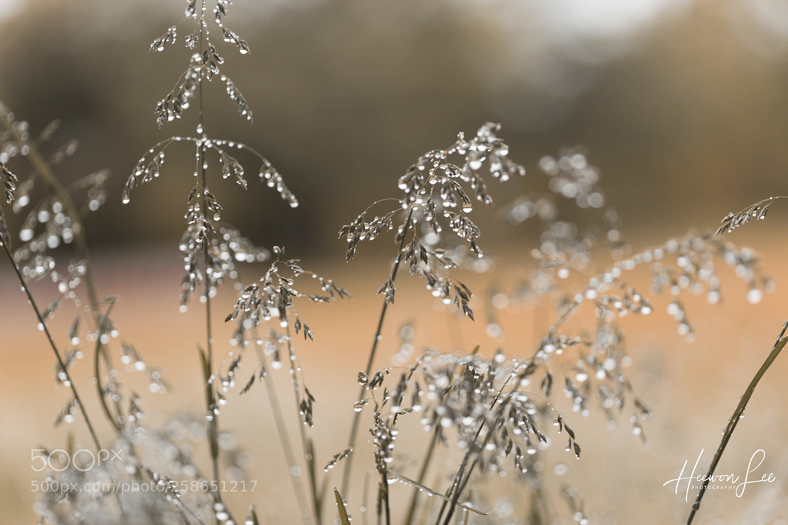 Canon EOS 6D sample photo. нαтє мє.. photography
